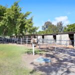 6882d827-6c5e-4eb5-afe7-e0369f5aec34-Jacobs-Well-2025-08-22-171909-18